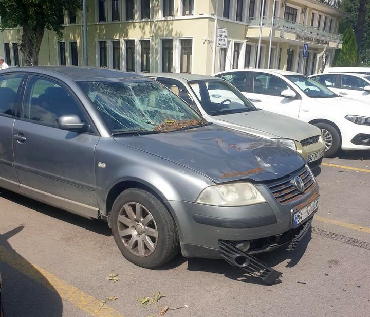 Sakarya’da çürüyen ağaç devrildi, 4 araç hasar gördü