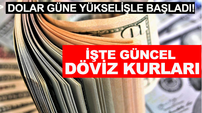 Dolar güne yükselişle başladı! işte güncel döviz kurları