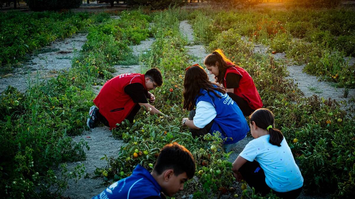 Konya'da gençler, yardım faaliyetlerinde bulunuyor