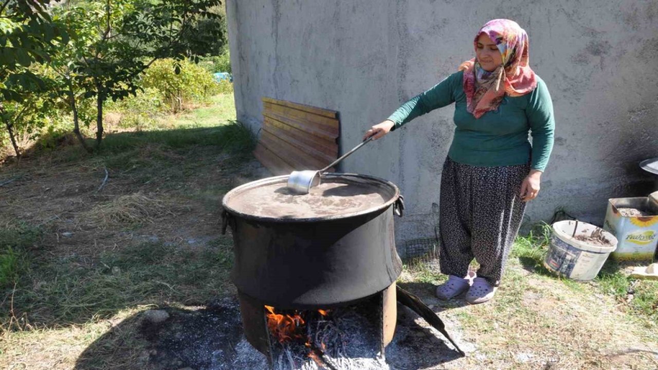 Üzümün pekmeze yolculuğu başladı