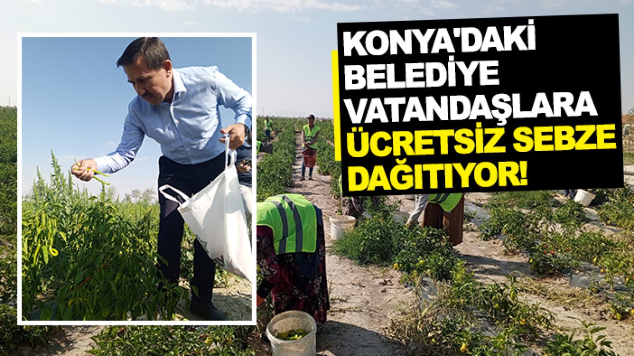 Konya'daki belediye vatandaşlara ücretsiz sebze dağıtıyor!