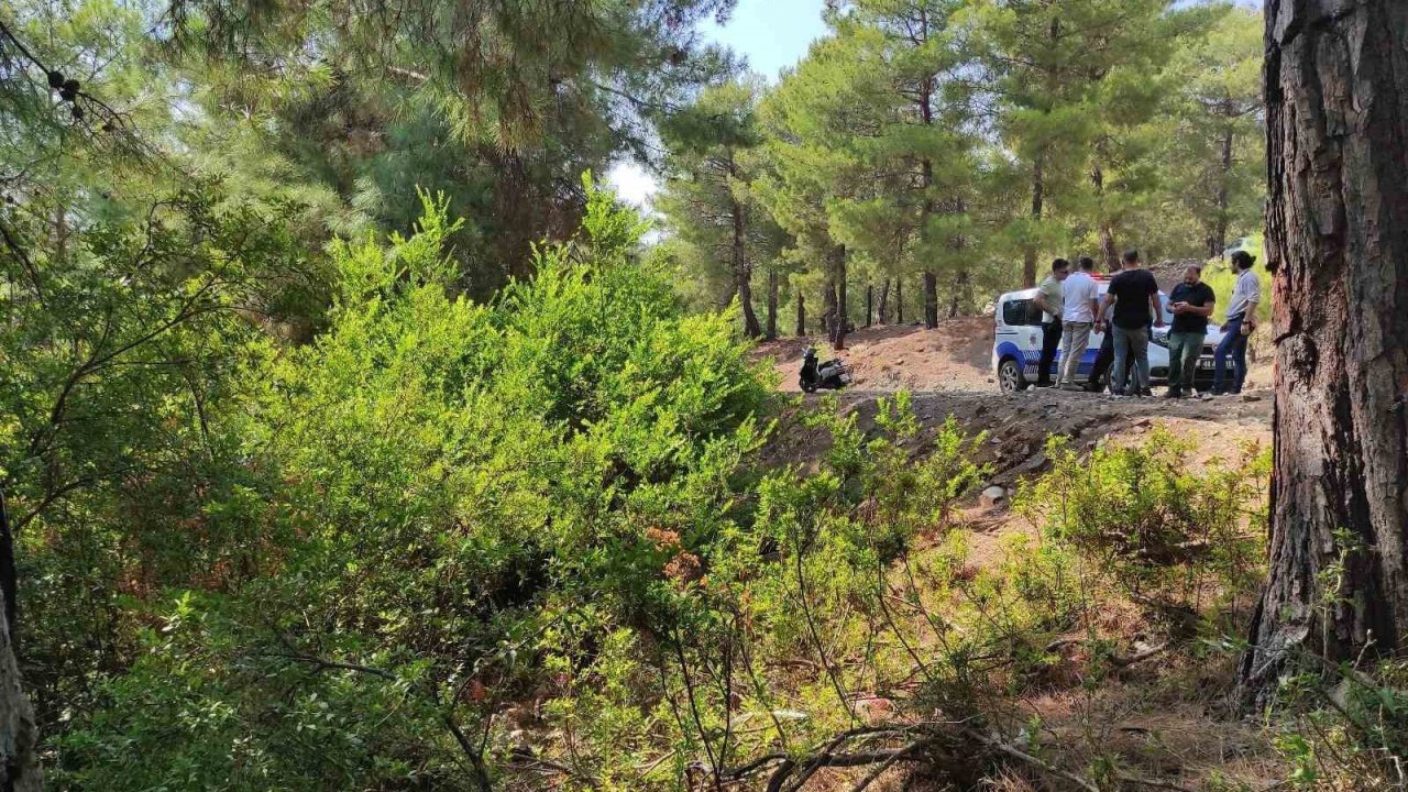 Ormana bırakılan bebekle ilgili 2 şüpheli tutuklandı