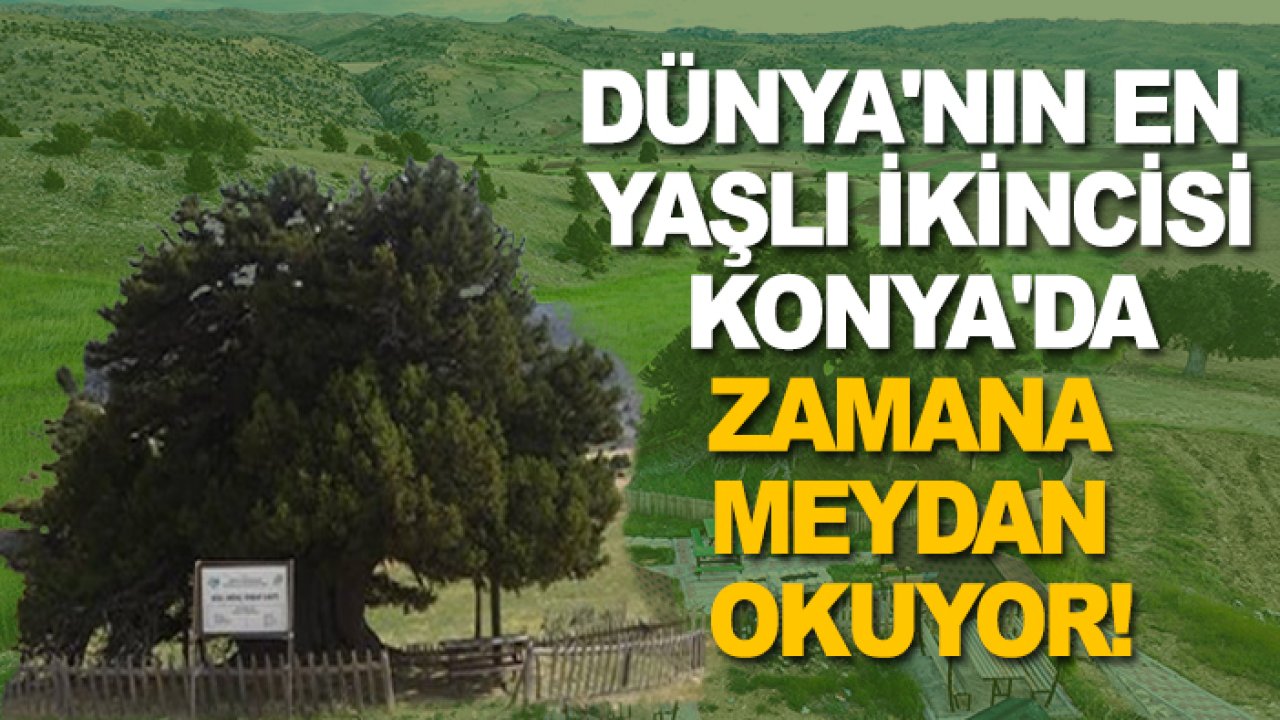 Dünya'nın en yaşlı ikincisi Konya'da zamana meydan okuyor!