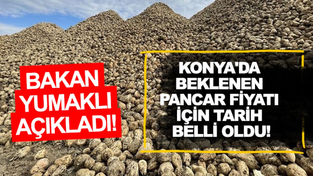 Konya'da beklenen pancar fiyatı için tarih belli oldu!