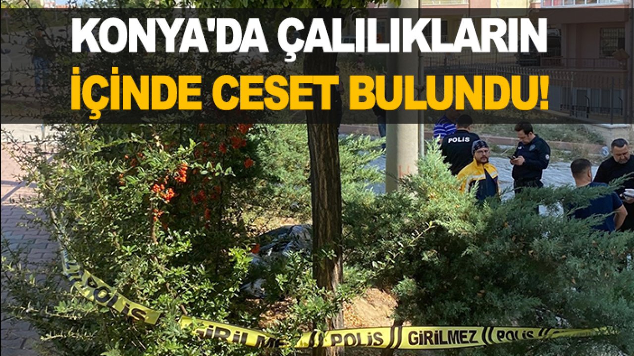 Son dakika: Konya'da çalılıkların içinde ceset bulundu!