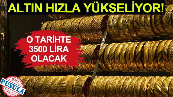 Altın hızla yükseliyor! O tarihte 3 bin 500 lira olacak
