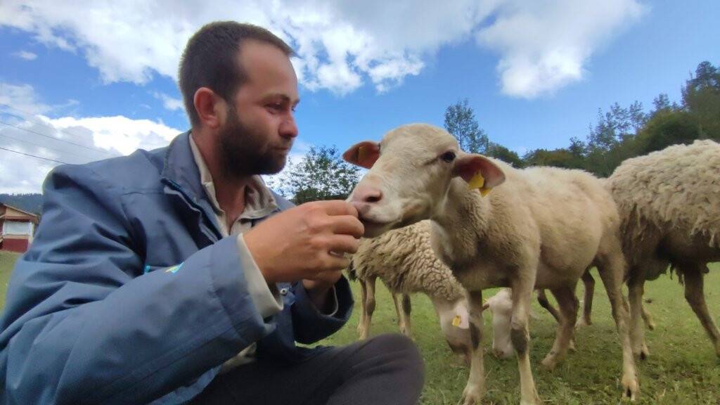 İki üniversite bitirip hayali kaymakamlık olan genç çobanlık yapmaya başladı