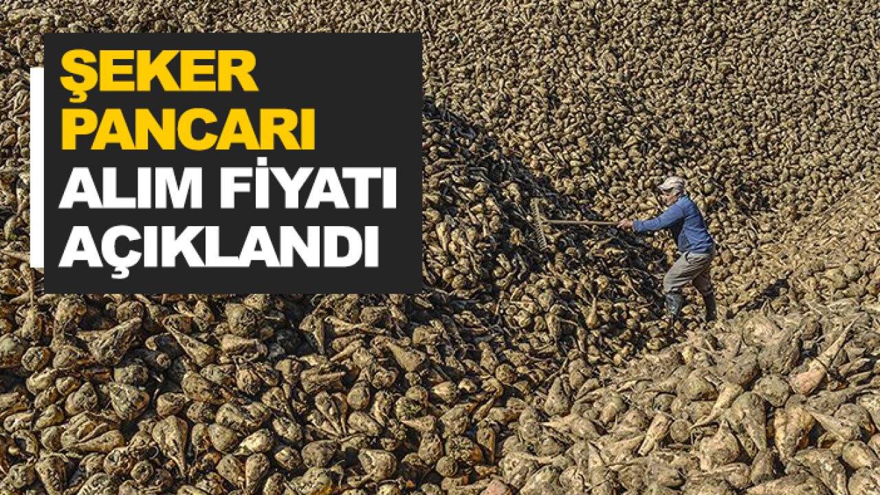 Son dakika: Konya'nın gözü kulağı bu açıklamada! Şeker pancarı fiyatı belli oldu