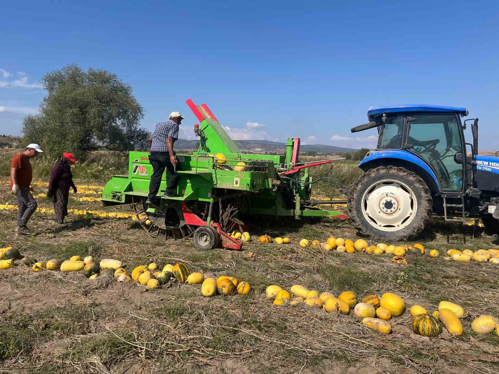 Beyşehir’de kabak çekirdeği üretimi