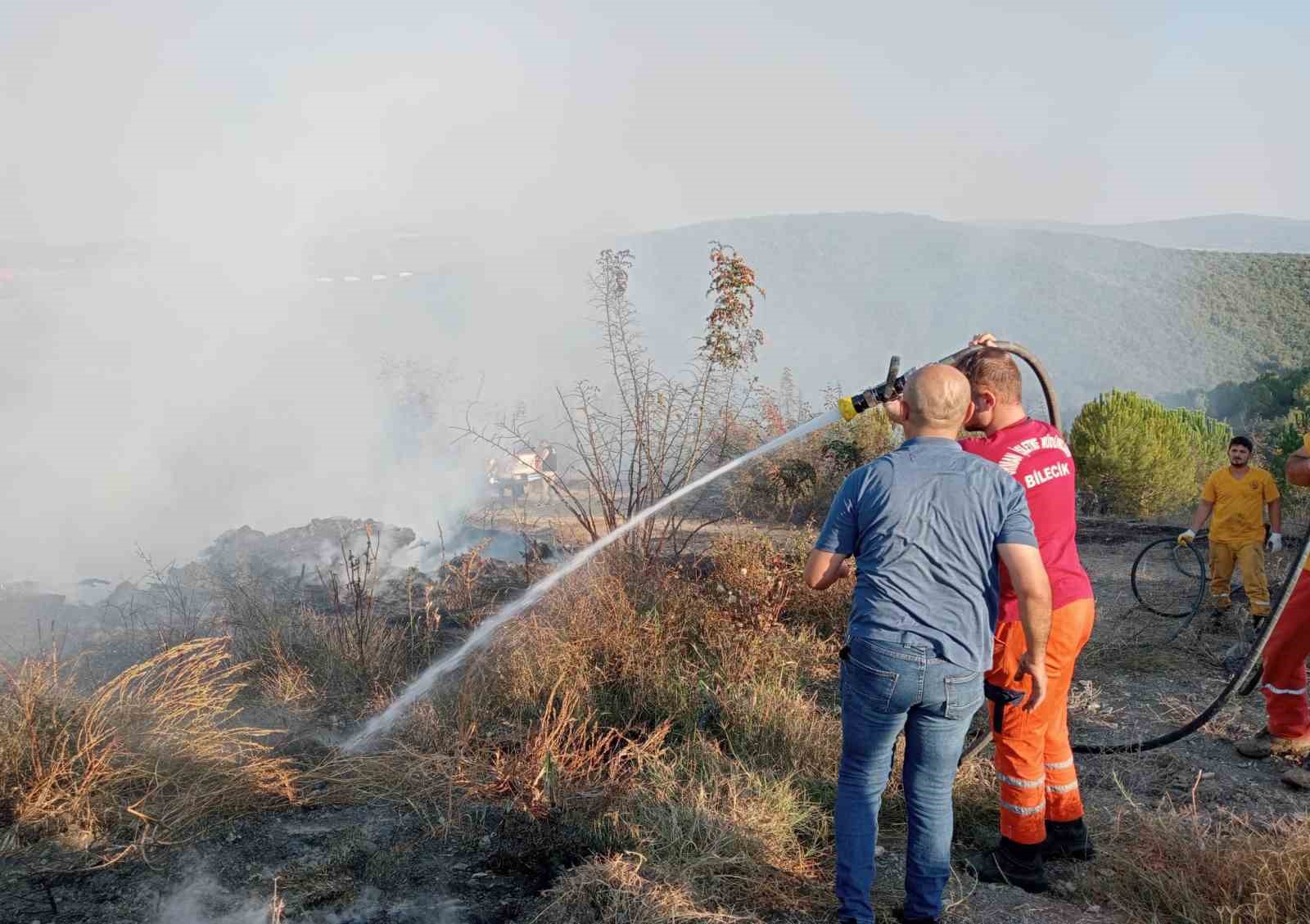 Bursa'da orman yangını