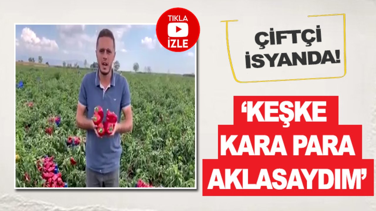 'Ekmeseydin' sözü çiftçiyi çıldırttı: 'Keşke vergi kaçırsaydım'