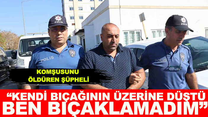 Komşusunu öldüren şüpheli: Kendi bıçağının üzerine düştü, ben bıçaklamadım