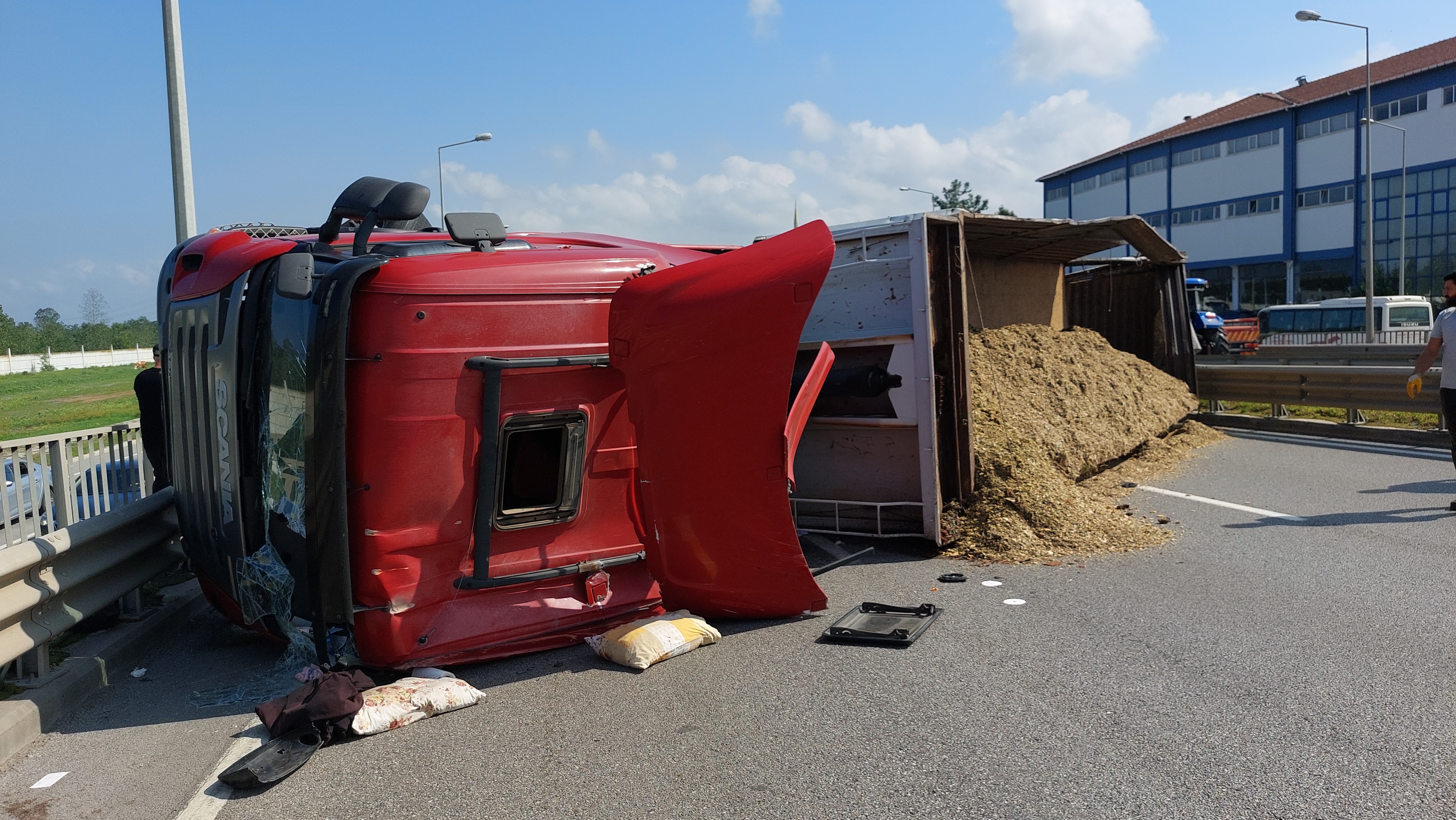 Arı sokması kazaya neden oldu: TIR yol ortasına devrildi