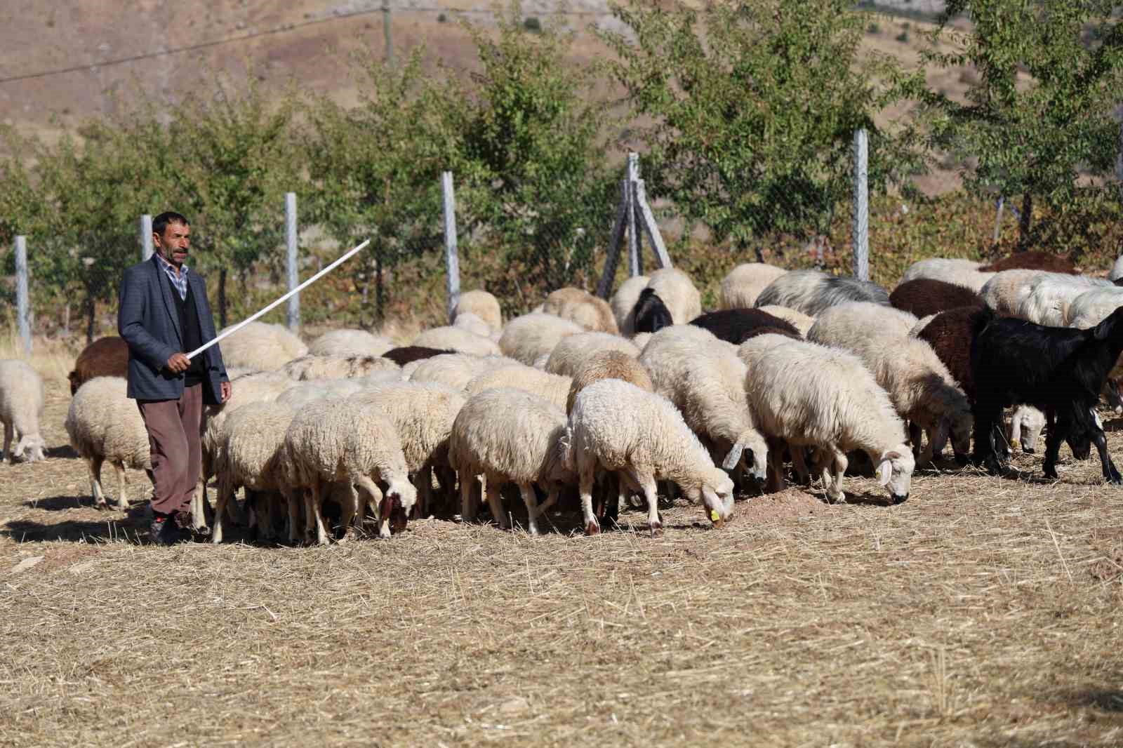 Aylık 70 bin lira maaş 30 GB internet! Çalışacak adam yok