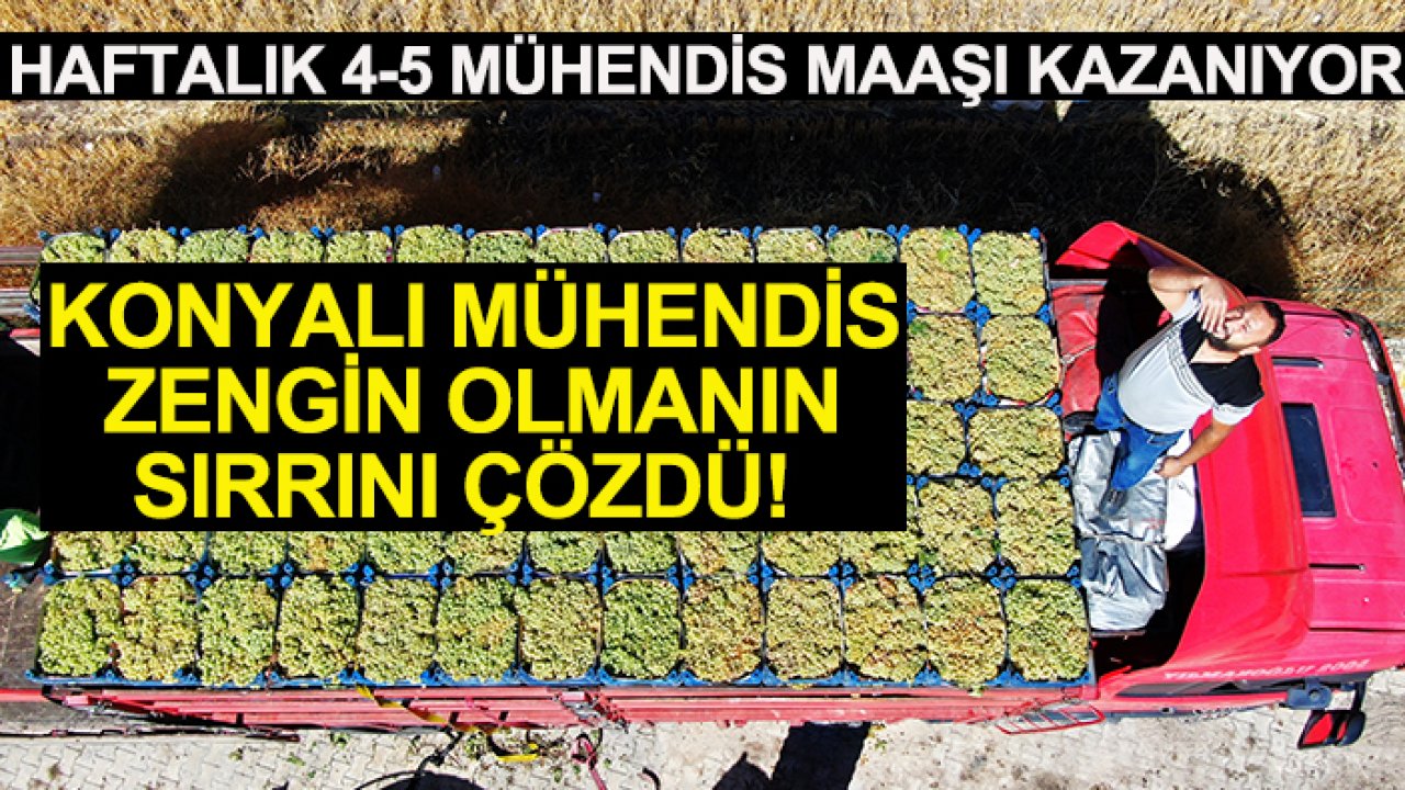 Konyalı mühendis zengin olmanın sırrını çözdü! Haftalık 4-5 mühendis maaşı kazanıyor