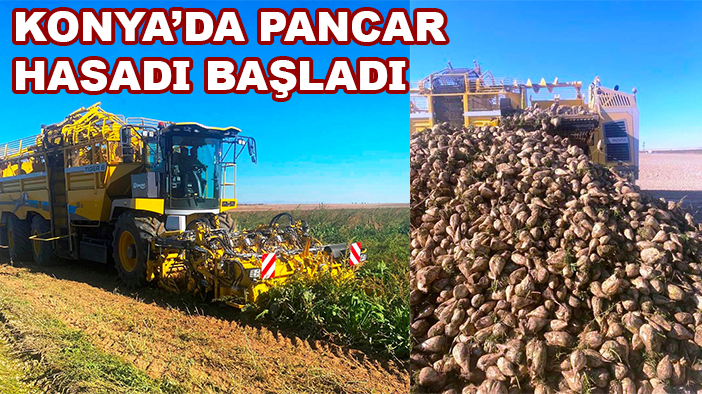 Konya'da pancar hasadı başladı