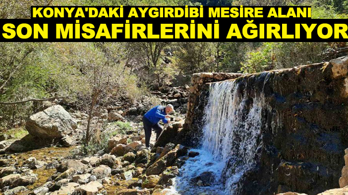 Konya'daki Aygırdibi Mesire Alanı son misafirlerini ağırlıyor