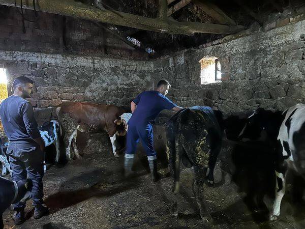 Ahırlı'da şap çalışmaları sürüyor