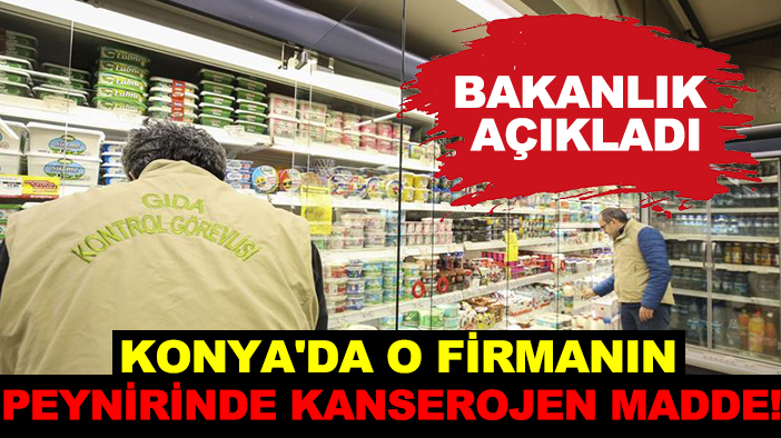 Bakanlık açıkladı: Konya'da o firmanın peynirinde kanserojen madde!