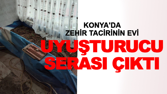 Konya'da zehir tacirinin evi uyuşturucu serası çıktı