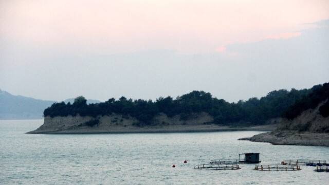 Pervane Başını Parçaladı