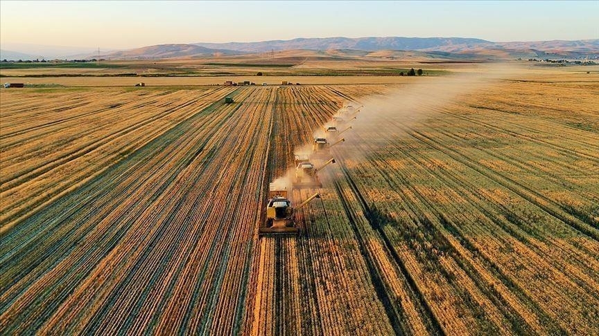 Bakanlık çiftçilere 185,8 milyon liralık tarımsal destekleme ödemesi yaptı! İşte detaylar