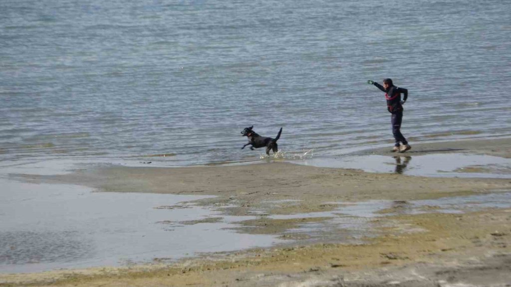 Kayıp öğrenci Rojin için AFAD’dan köpekli arama