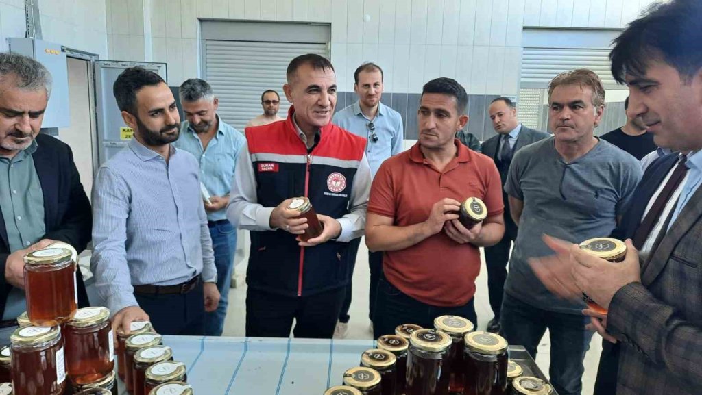 Konya Ovasında yeni hasat ballar paketlenmeye başladı