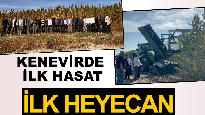 Kenevir‘de ilk hasat ilk heyecan