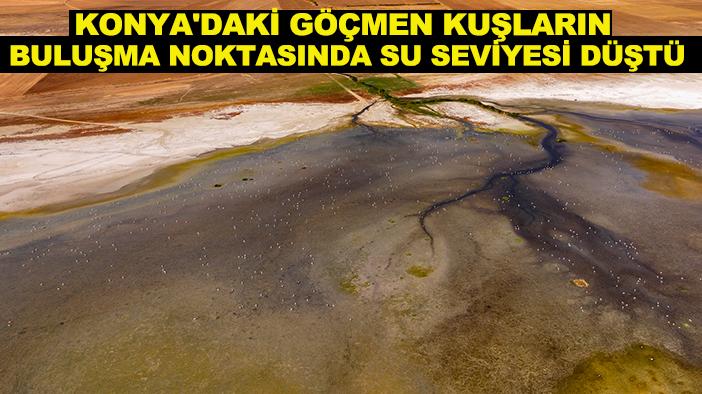 Konya'daki göçmen kuşların buluşma noktasında su seviyesi düştü