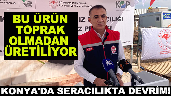 Konya'da seracılıkta devrim! Bu ürün toprak olmadan üretiliyor