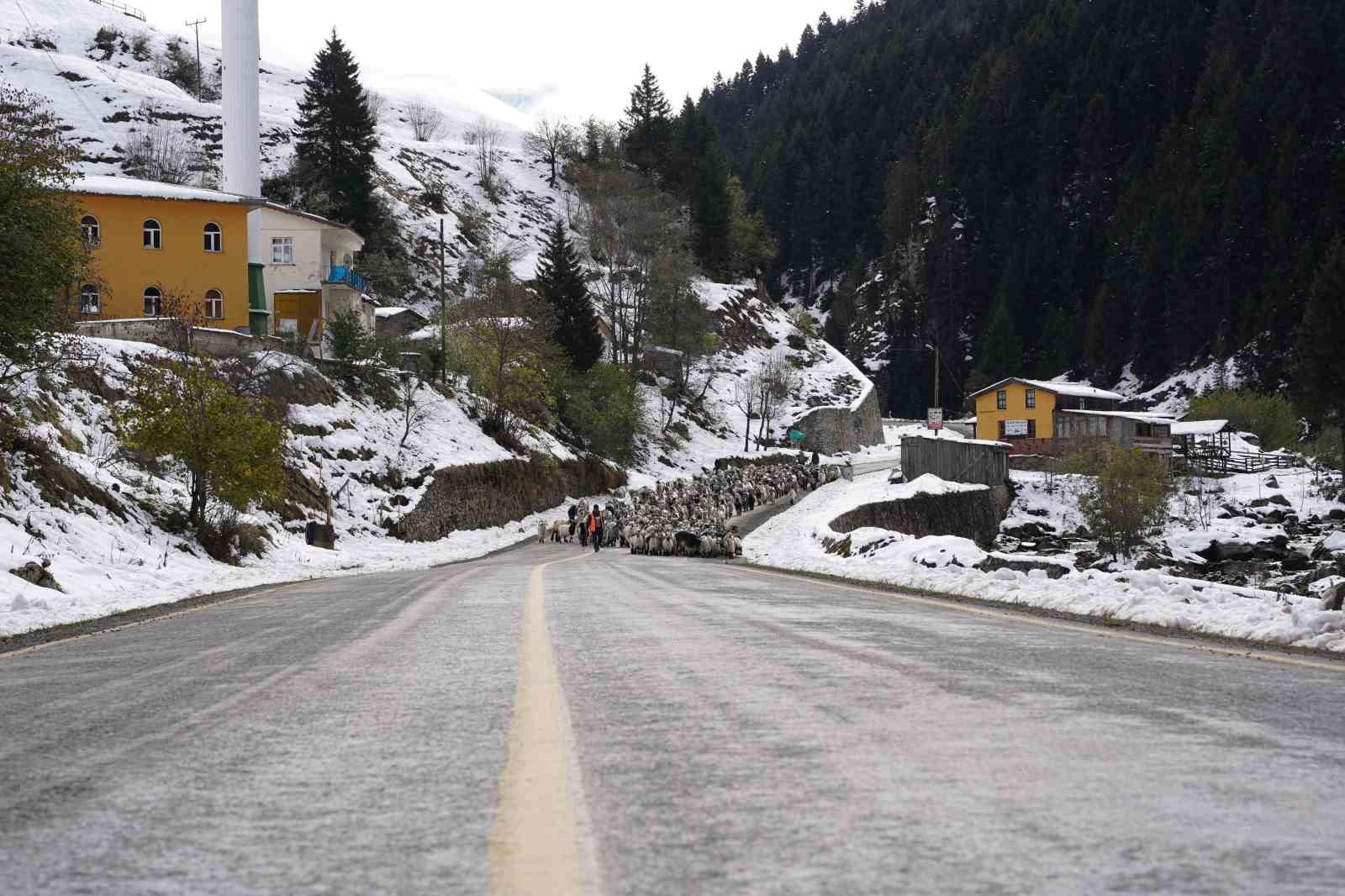 Rize’nin yaylalarından kartpostallık görüntüler