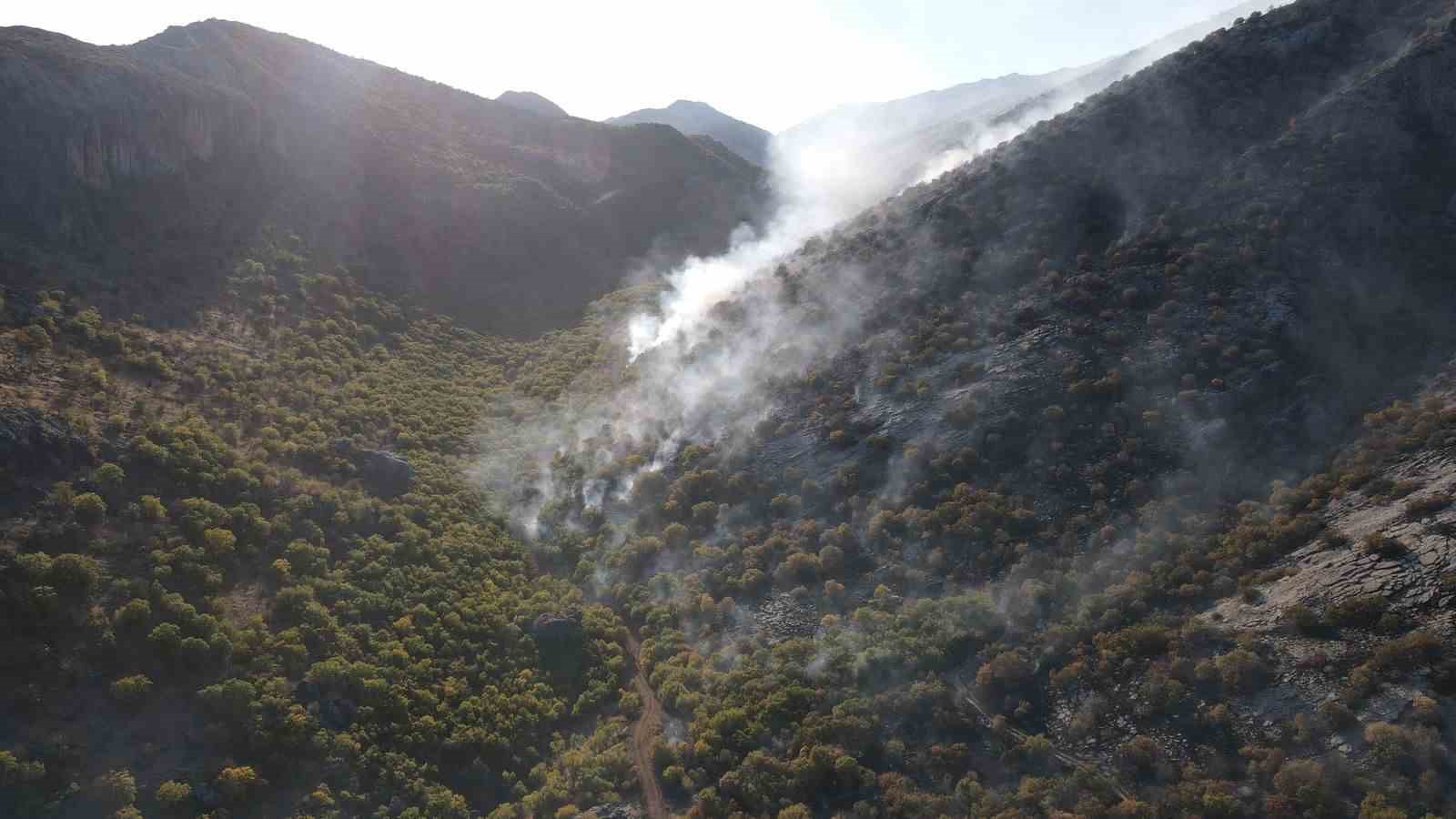 Adıyaman'daki orman yangını 2 gündür sürüyor