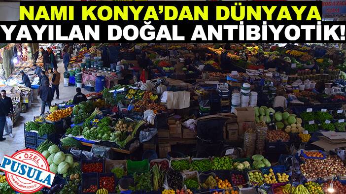 Namı Konya’dan dünyaya yayılan doğal antibiyotik!