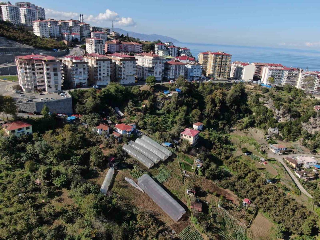 Şehir merkezinde apartmanlar arasında organik tarım yapıyorlar