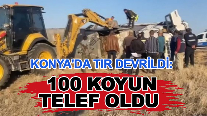 Konya'da TIR devrildi: 100 koyun telef oldu