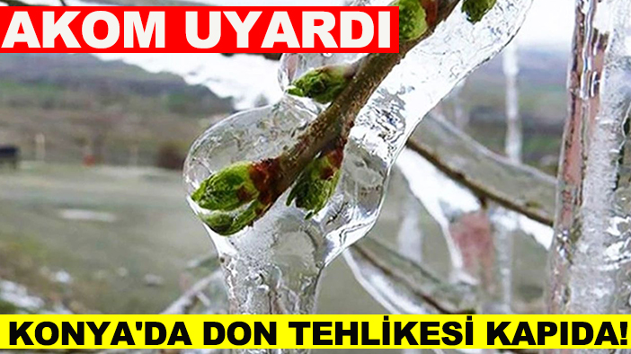 AKOM uyardı: Konya'da don tehlikesi kapıda!