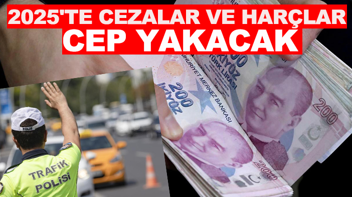 2025'te cezalar ve harçlar cep yakacak!