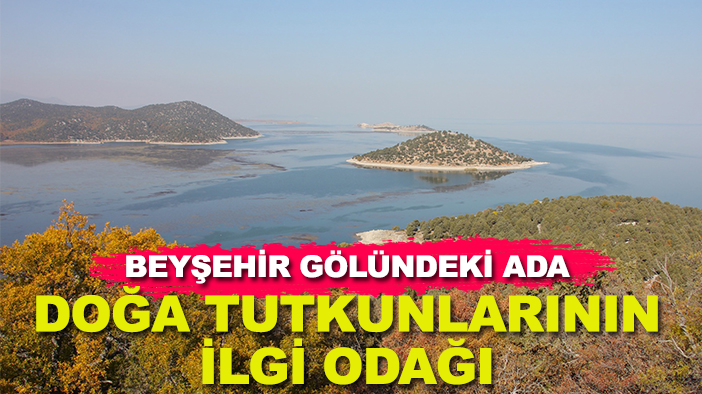 Beyşehir Gölündeki ada doğa tutkunlarının ilgi odağı