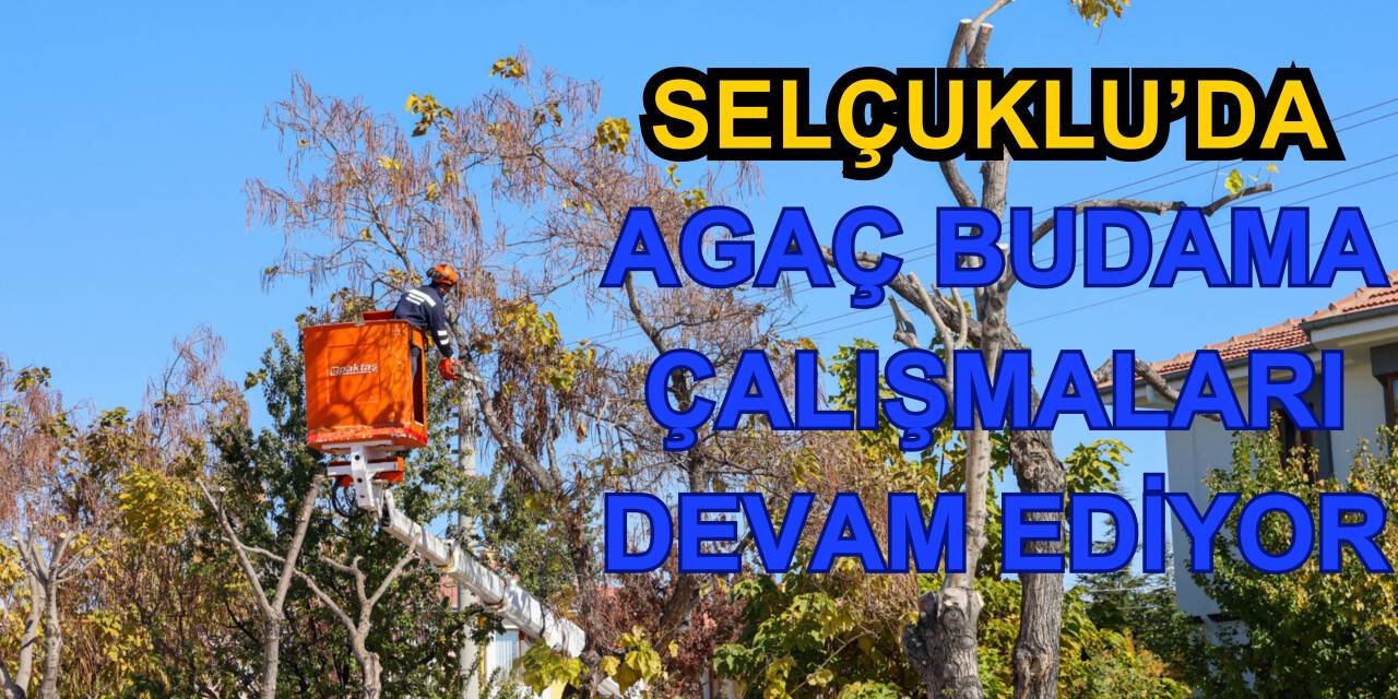 Selçuklu'da Ağaç Budama Çalışmaları Devam Ediyor