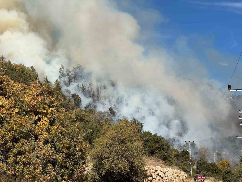 Antalya'da orman yangını!