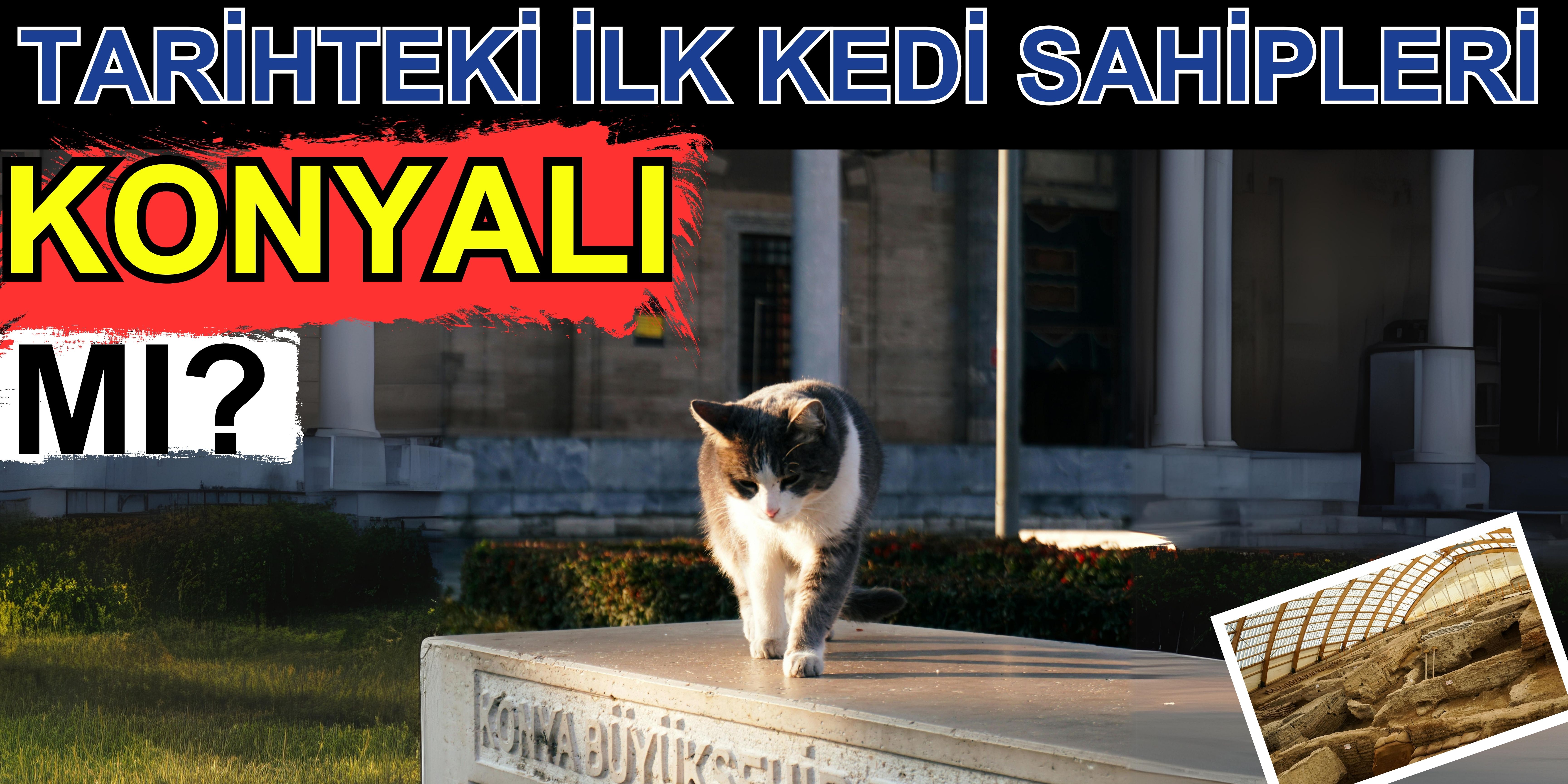 Tarihteki ilk kedi sahipleri Konyalı mı?