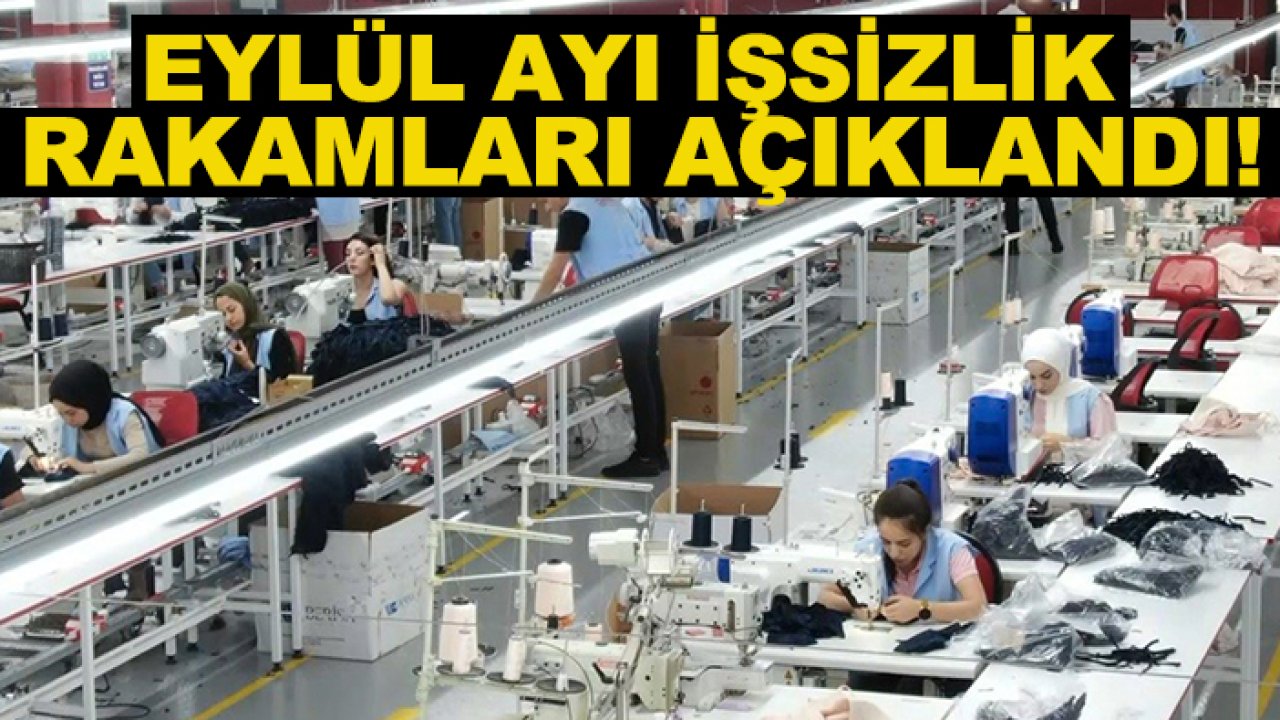 Eylül ayı işsizlik rakamları açıklandı!