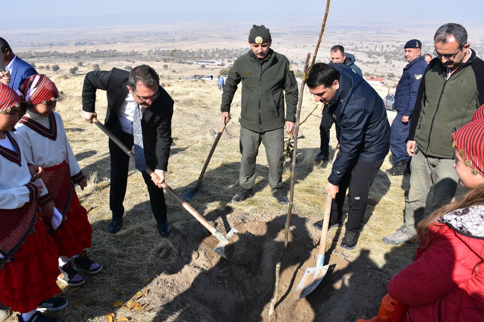 Karapınar'da 500 ceviz fidanı toprakla buluşturuldu