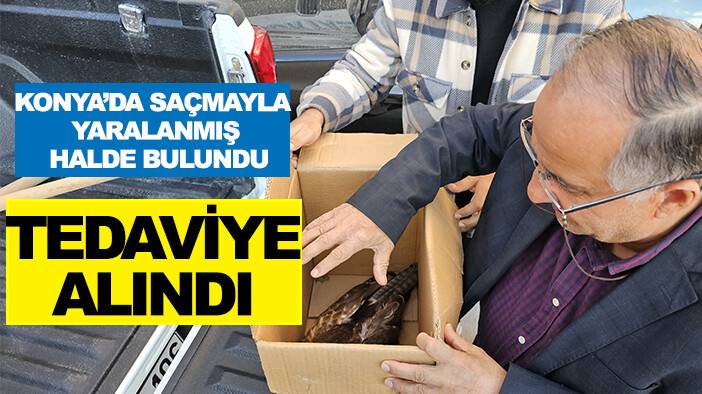 Konya'da saçmayla yaralanmış halde bulundu: Tedavi altına alındı
