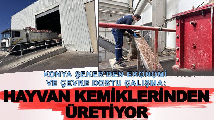 Konya Şeker'den ekonomi ve çevre dostu çalışma: Hayvan kemiklerinden üretiyor