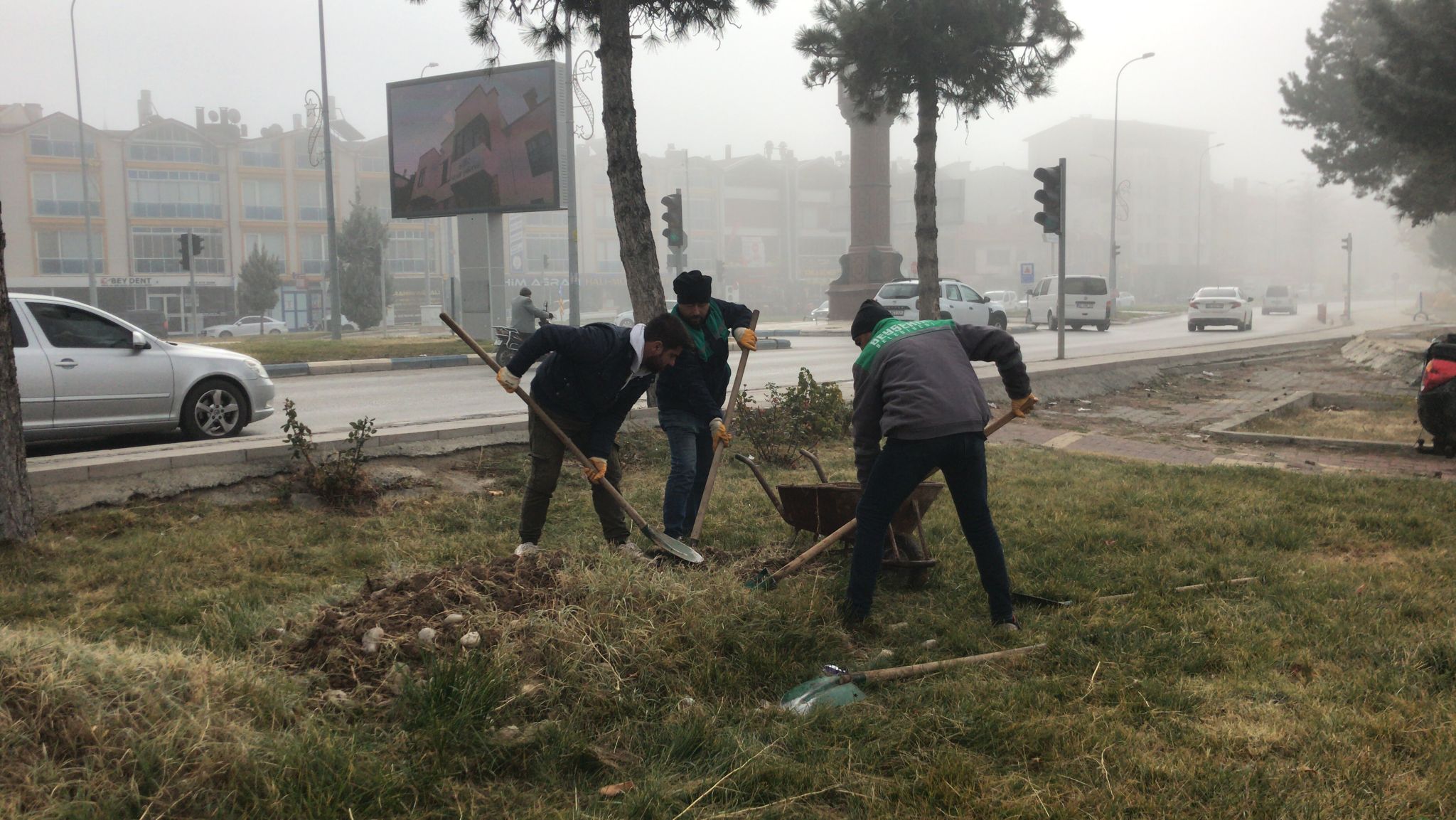 Beyşehir'de ağaçlandırma çalışmaları devam ediyor