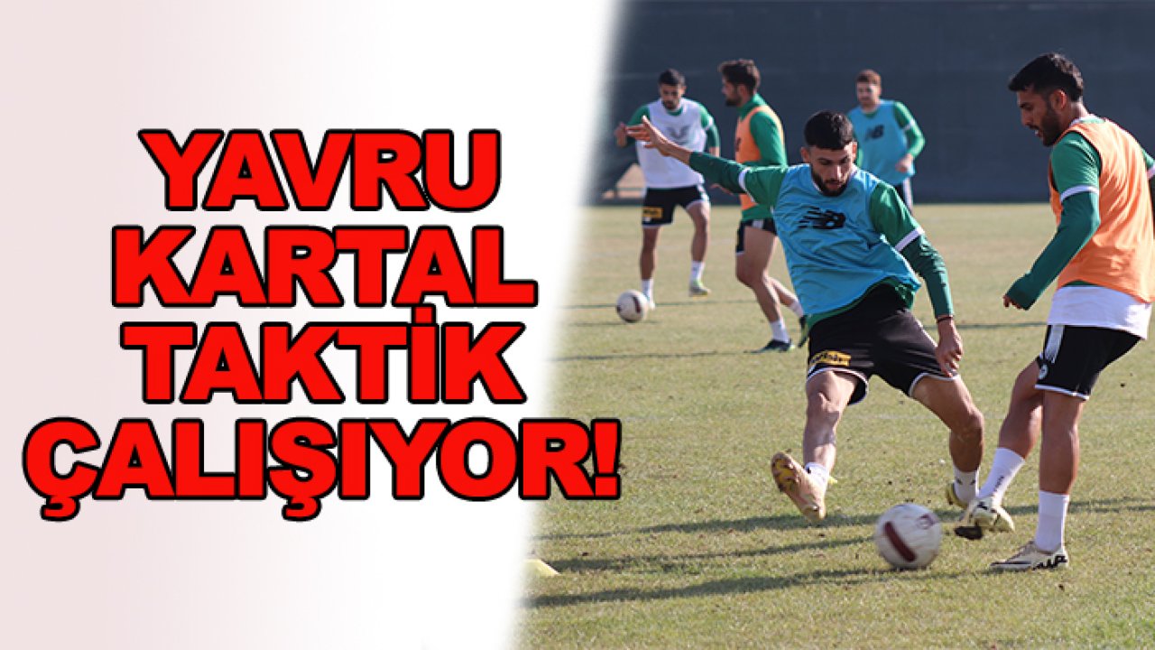 Yavru Kartal taktik çalışıyor!