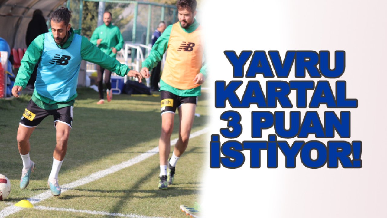 Yavru Kartal 3 puan istiyor!