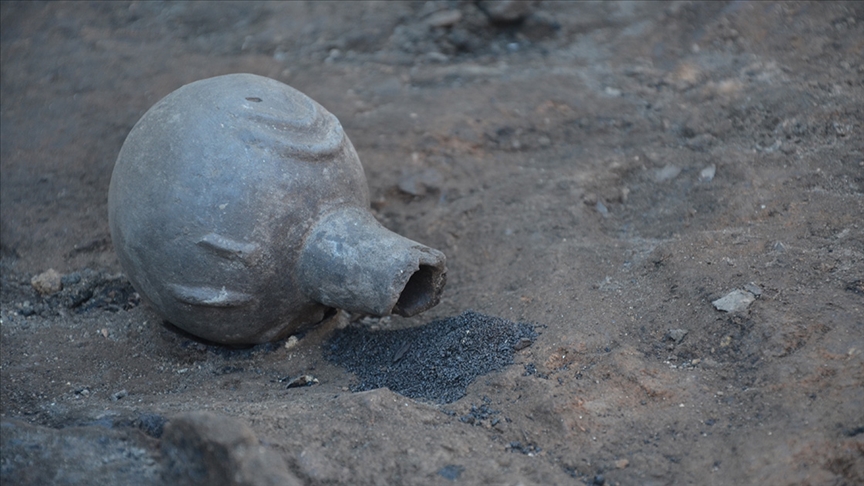 Seyitömer Höyüğü'nde 5 bin yıllık haşhaş ve nohut taneleri bulundu